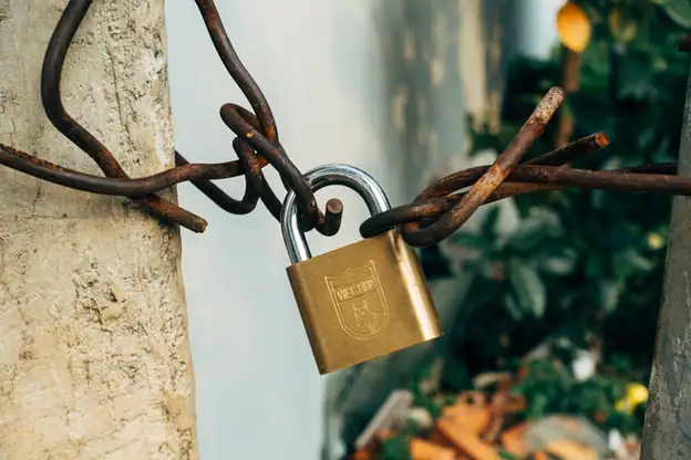 1. Rusted chain with padlock securing two trees, symbolizing security and protection.